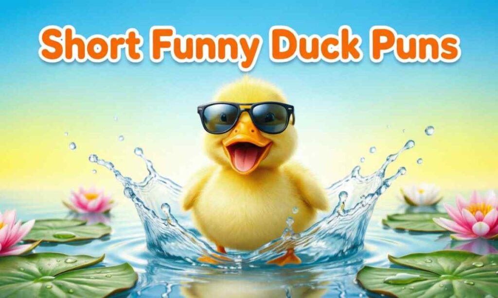 Short Funny Duck Puns