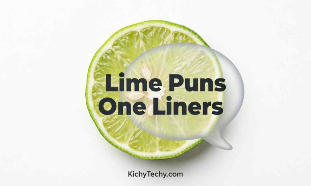 Lime Puns One Liners